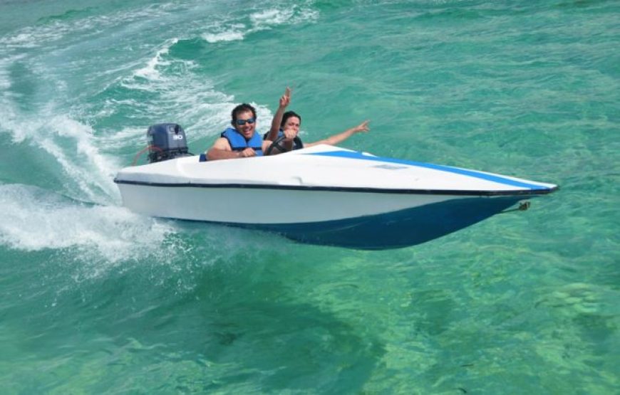 Speed Boat (Free reservation)