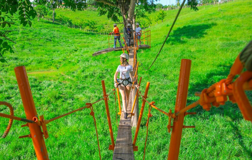 ZIP LINES (Free reservation)