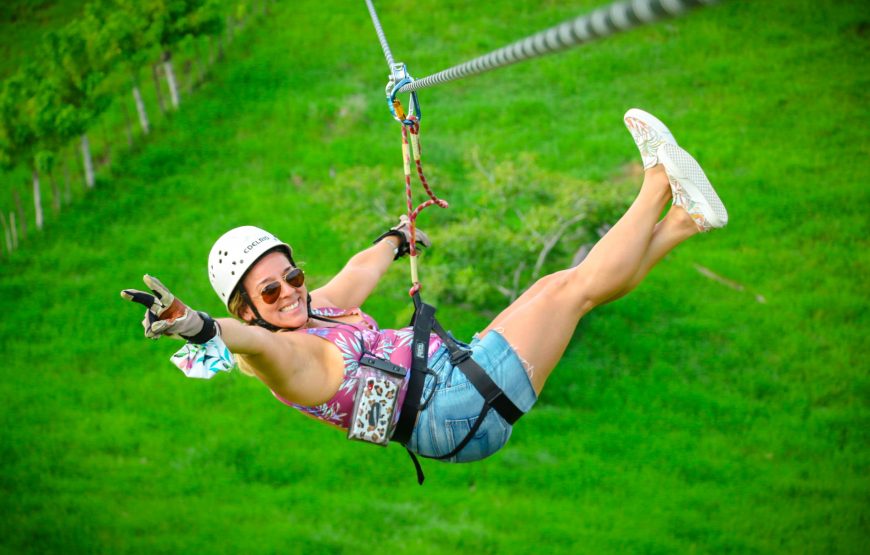 ZIP LINES (Free reservation)
