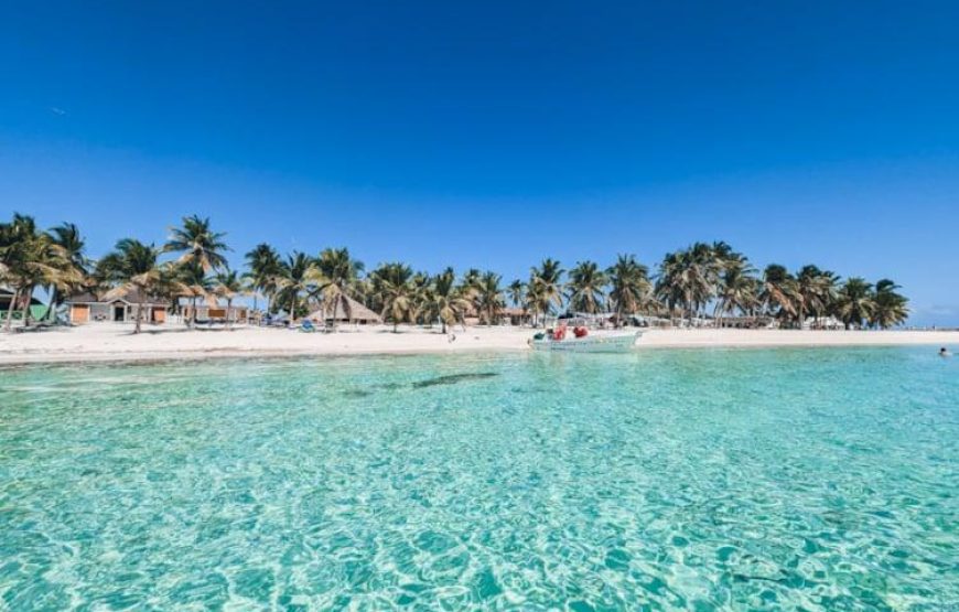 Saona Island tour (Free reservation)