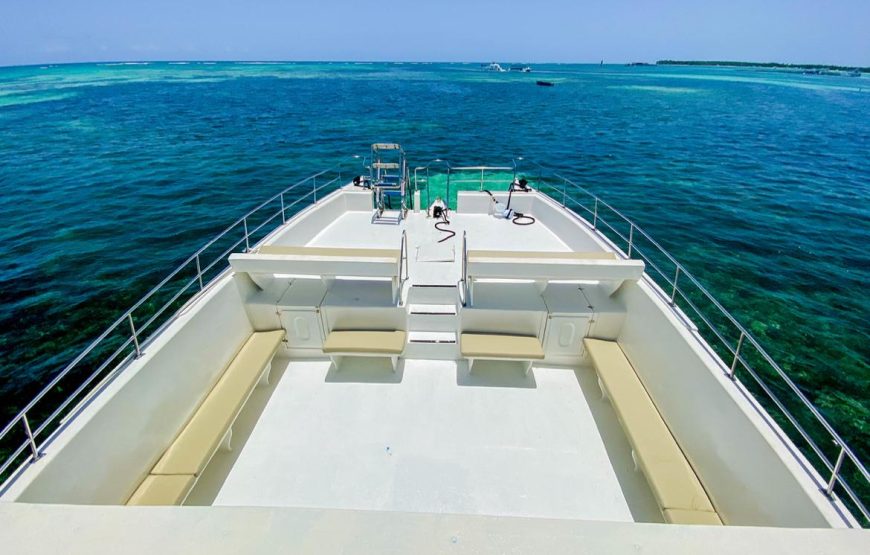 Private Party Boat (Free reservation)