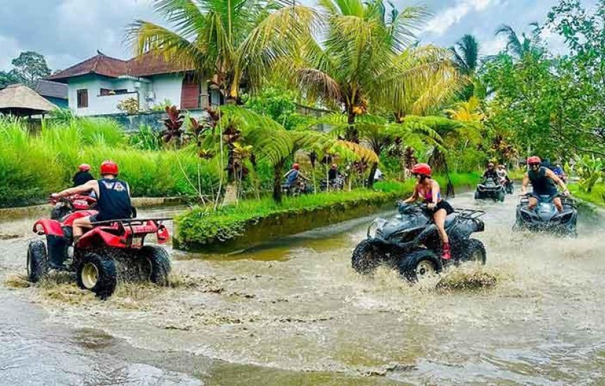 ATVS